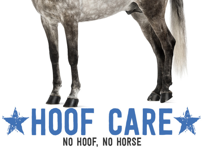 Hoof Care Tips Hoof Care Tips