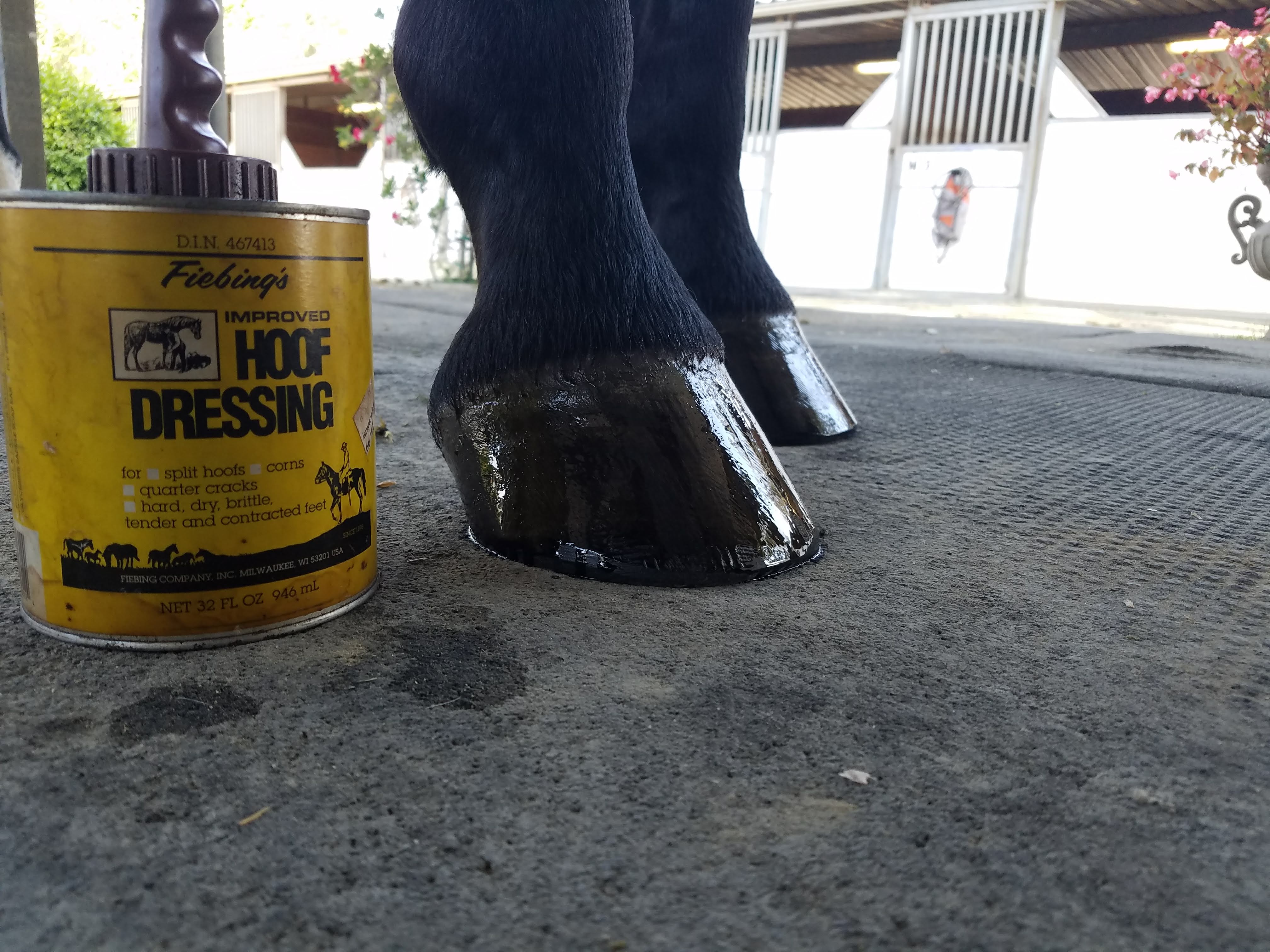 Horse Hoof Care Tips Horse Hoof Care Tips