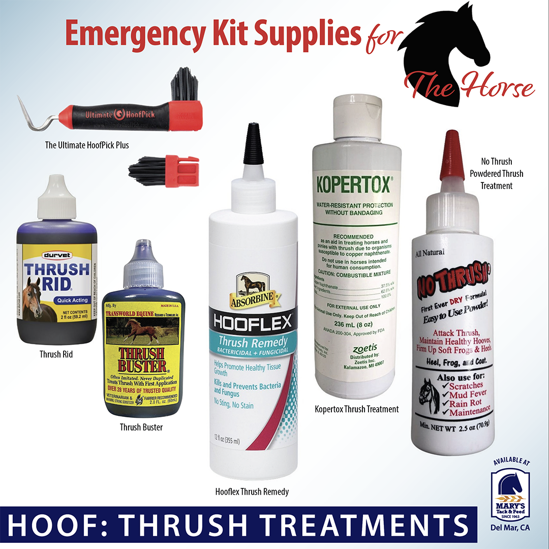 Hoof Thrush Treatments for the Horse