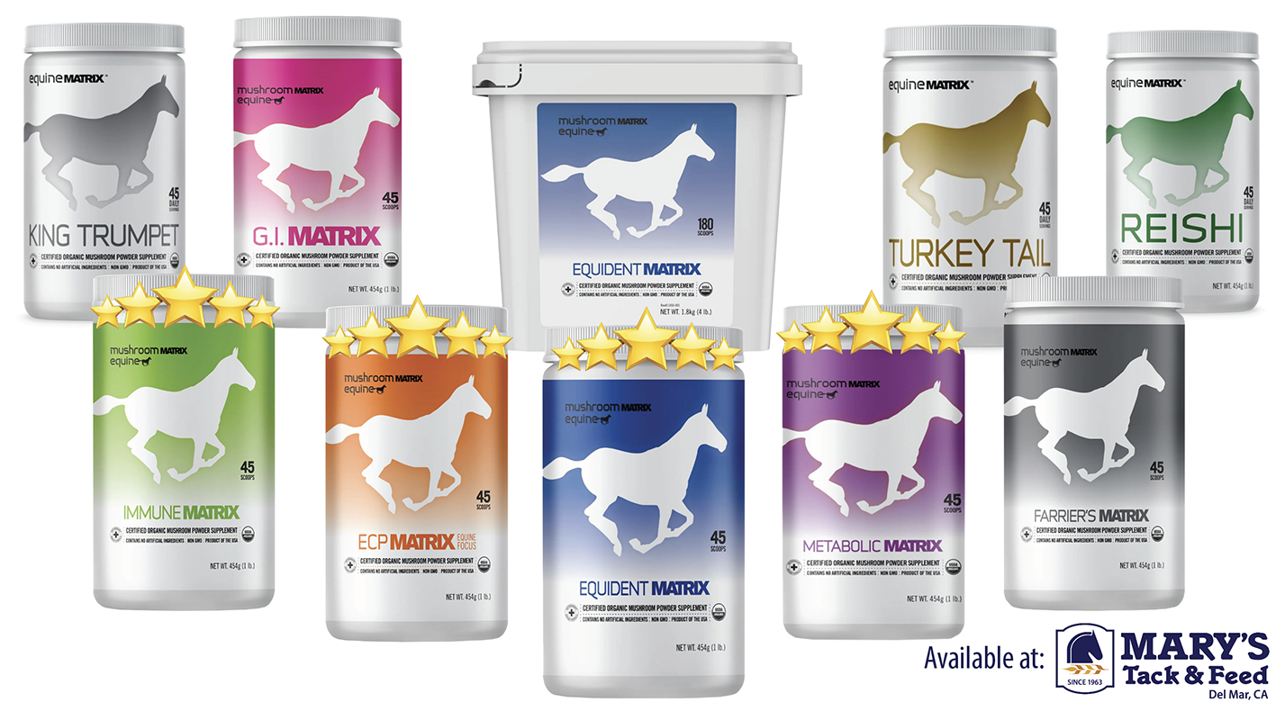 mushroom matrix horse supplements